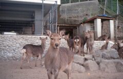 昨日　フィルムにて