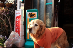 今日も頑張って営業のみゅうちゃん