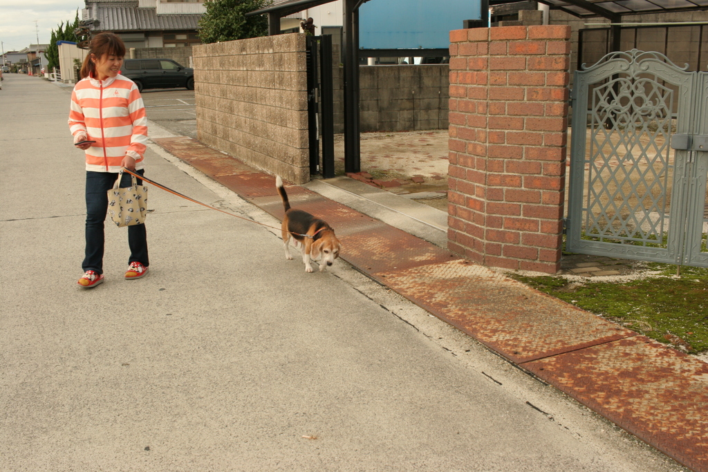 散歩してるハチ君とお母さん