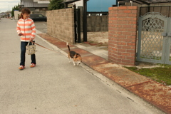 散歩してるハチ君とお母さん