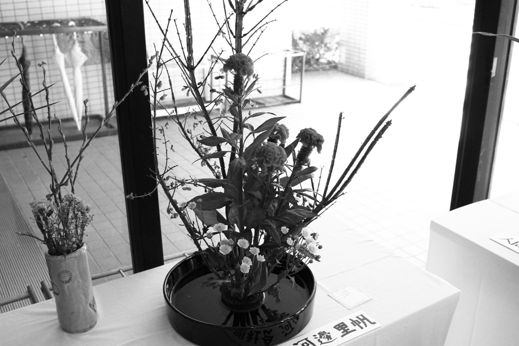 近所の大学の学園祭ちょっと見てきた