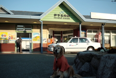 みゅうちゃんと駅に行く