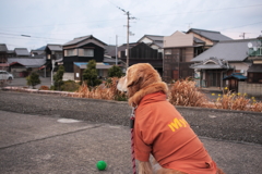 なにかきになるみゅうちゃん