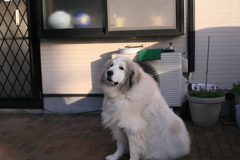 ココさん＠2019-02-08