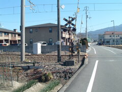 100万画素で激写