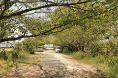 晴れた昼下がり