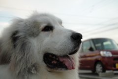 @2018-05-11