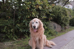 お宿番してるみゅうちゃん＠北条水軍ユースホステル