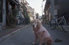 今朝、TripXB3、FujifilmC200にて