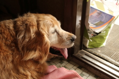 病院行って点滴注射打ってもらってさしあたりは復活のみゅうちゃん