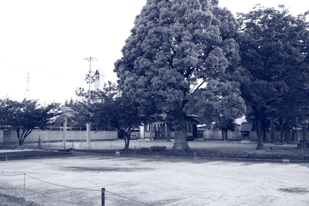 朝＠2020‐05‐11