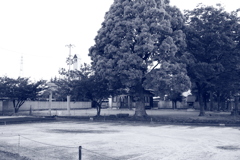 朝＠2020‐05‐11