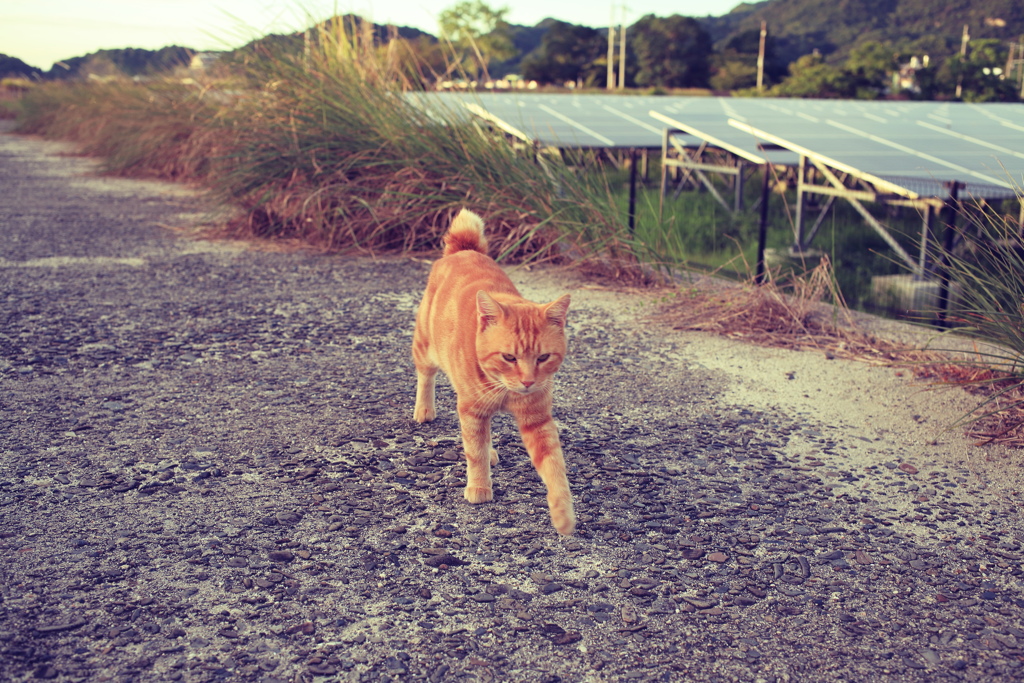 retouched@2019-08-13