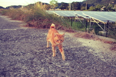 retouched@2019-08-13