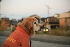 ほんわかしてるみゅうちゃん