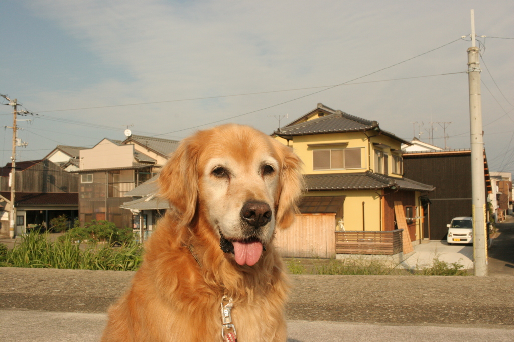 ジャーキーにつられて出てきたみゅうちゃん