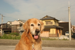 ジャーキーにつられて出てきたみゅうちゃん