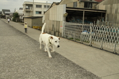 ＠2021‐07‐06