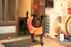 9月にも会って写真写してるらしいけど思い出せない