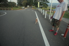 弱い犬ほどよく吠える　!(^^)!