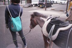 ポニーのレレレちゃん　フィルムにて