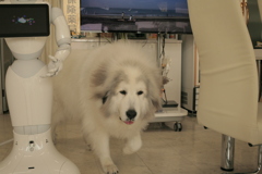 楽屋から出てくるココさん