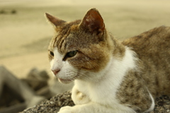 ＠2021‐06‐28