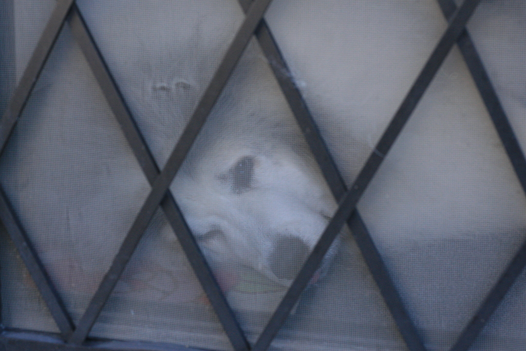 「またあんたか」byココ様