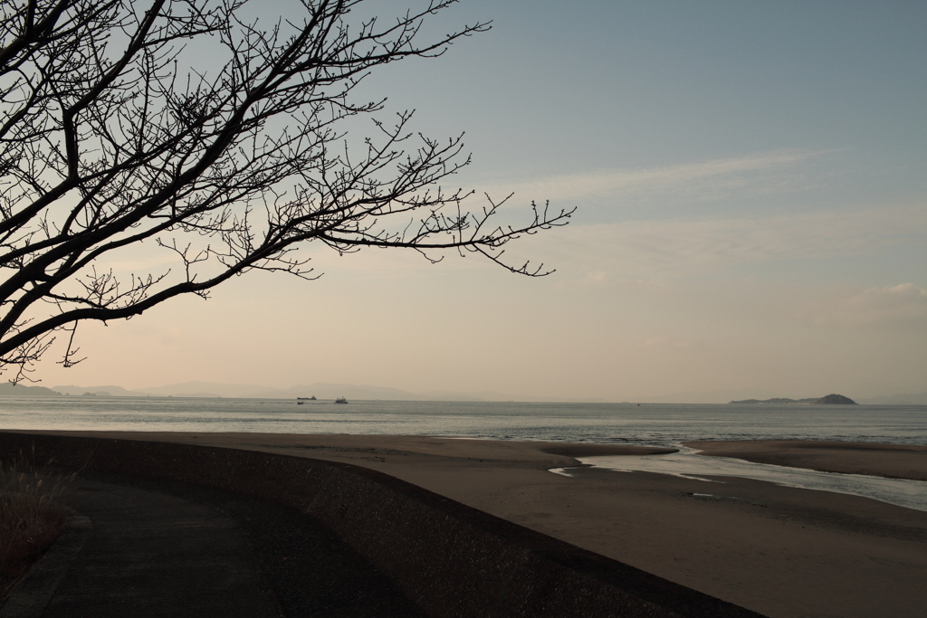 昨日は昼から晴れて気持ち良かったな