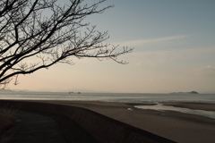 昨日は昼から晴れて気持ち良かったな