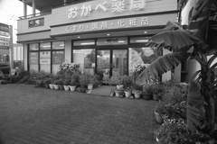 お見送りしてくれるココさん