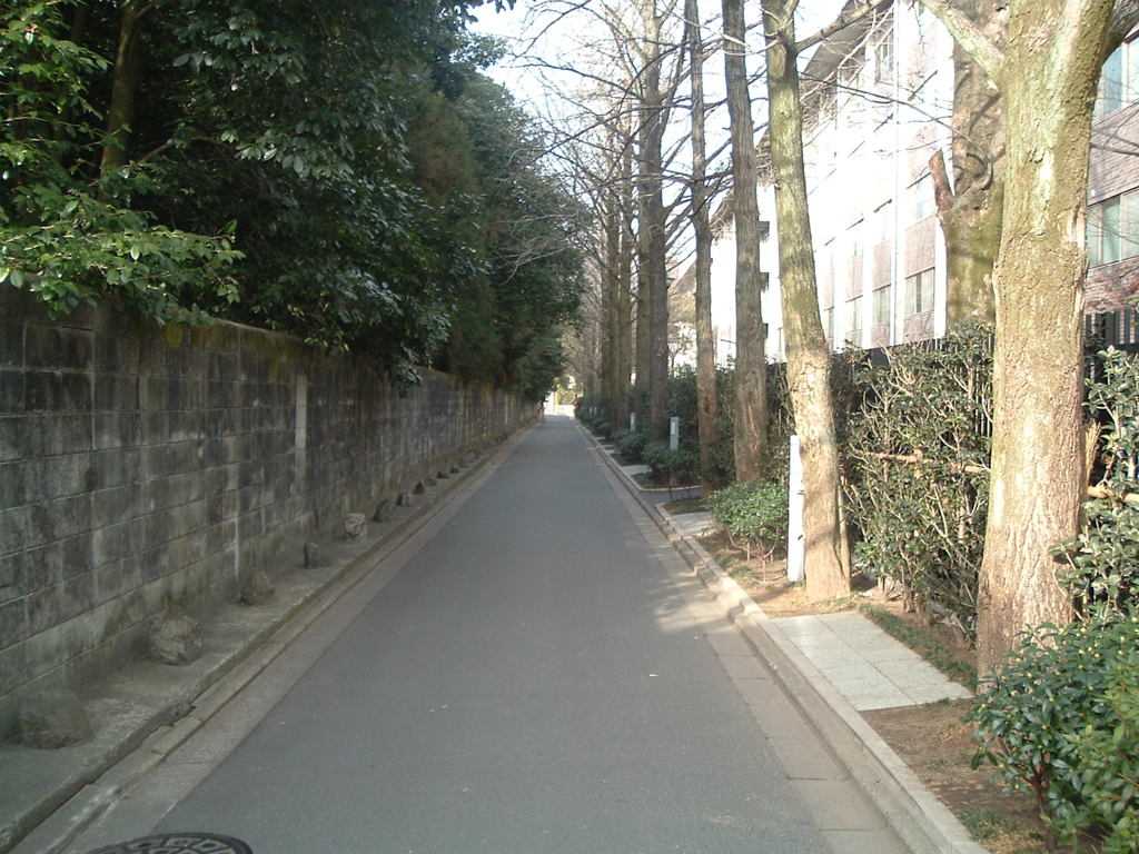 学生時代の写真発掘　2005年