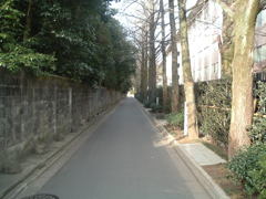 学生時代の写真発掘　2005年