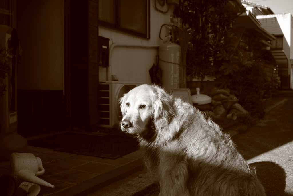 みゅうちゃん＠北条水軍ユースホステル