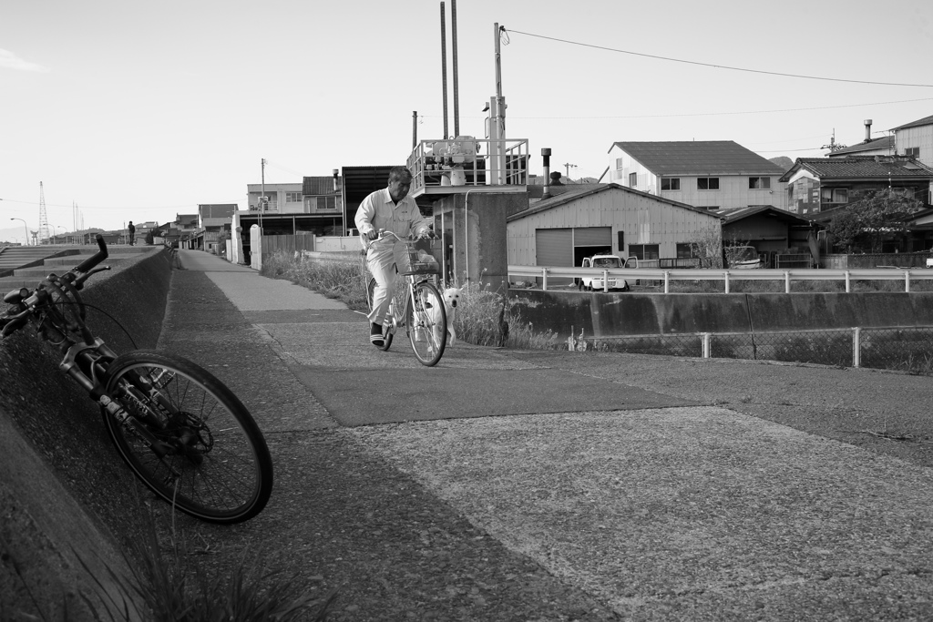 ご主人様と散歩