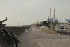 クルルちゃん御一同