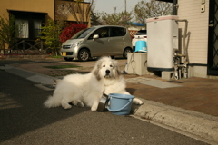 ＠2019-04-16　ニューレンズゲッツ