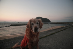 ＠2020‐12‐22