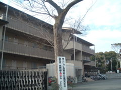 学生時代の写真発掘　2003年