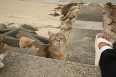 令和初日も平和な一日＠2019-05-01