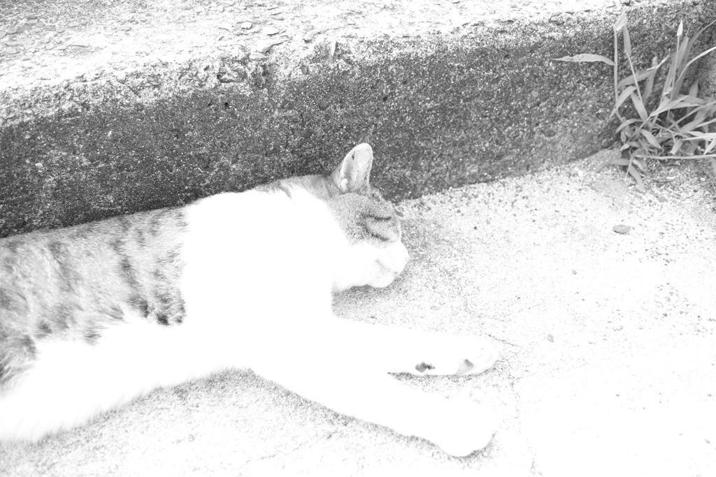 シグマちゃんがEos7Dと組み合わせた時にオーバーになる