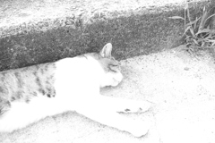 シグマちゃんがEos7Dと組み合わせた時にオーバーになる