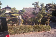 NewCanonet28,真の実力を発揮!(^^)!