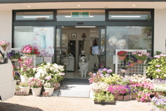 お店番してるココさん