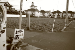 新しい朝が来た　土曜の朝だ