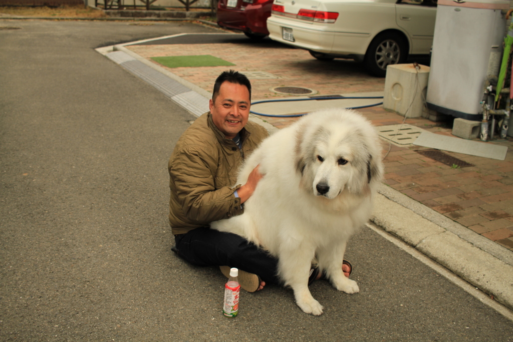 子犬帰りしてるココさん