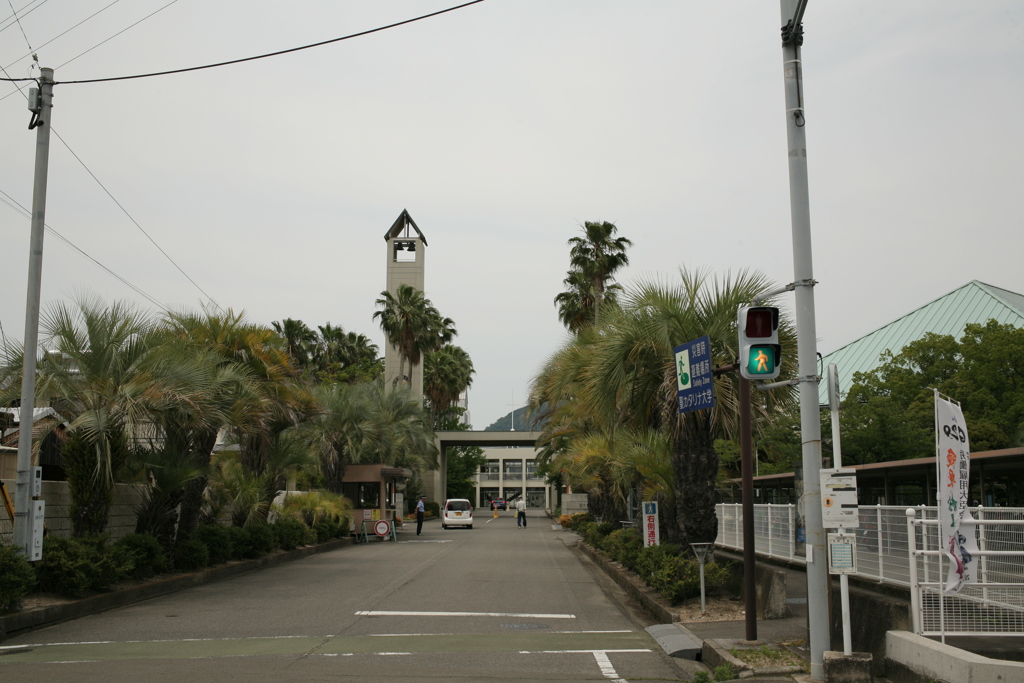 曇天の聖カタリナ大学