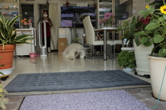 お店番してるココさん