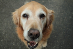 ＠2017-11-08　水曜