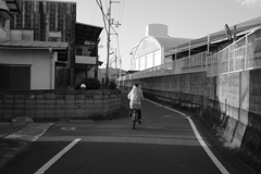 Eos6D，新しめのカメラだから写すのらくちん